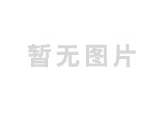 SHE型全桥周边传动刮吸泥机